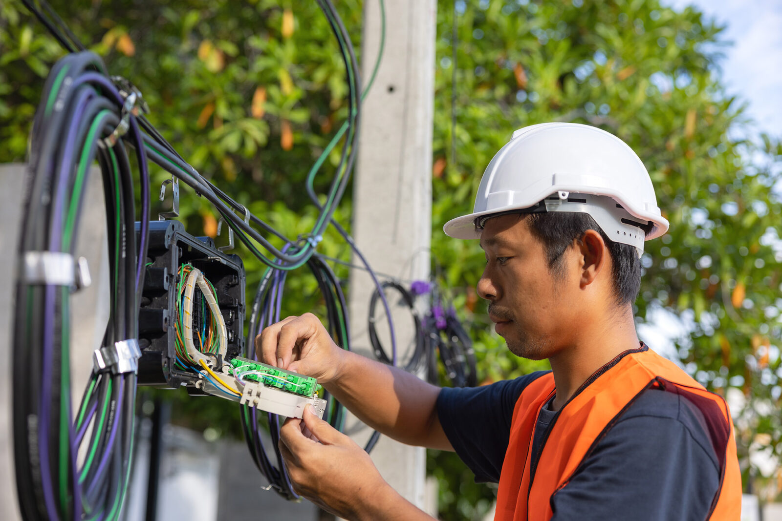 Engineer repair connector the fibers on splitter tray close-up outside